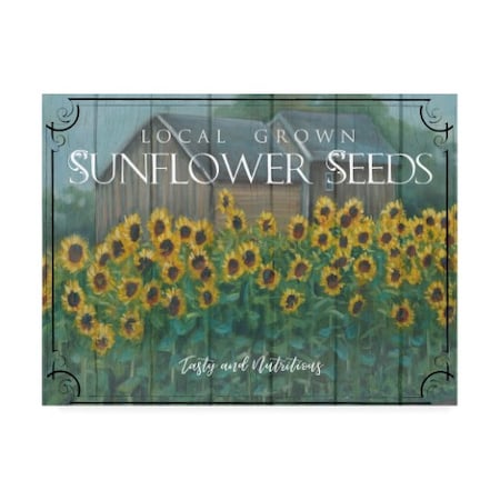 Marnie Bourque 'Sunflower Seeds' Canvas Art,18x24